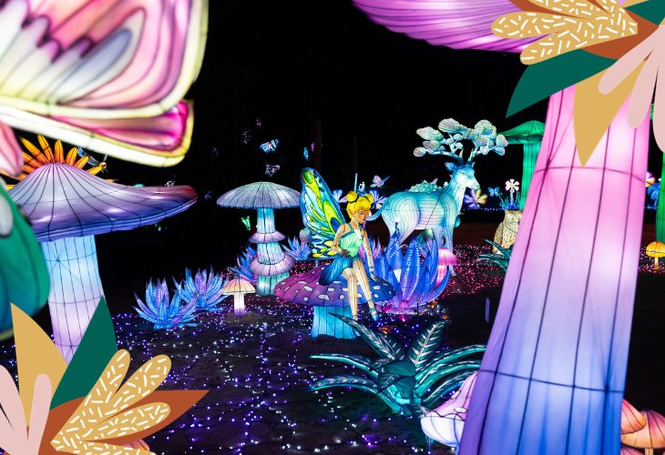 festival luminescence à Amnéville 